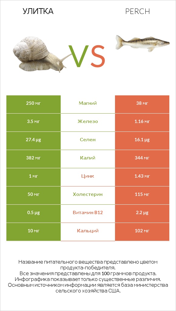 Улитка vs Perch infographic