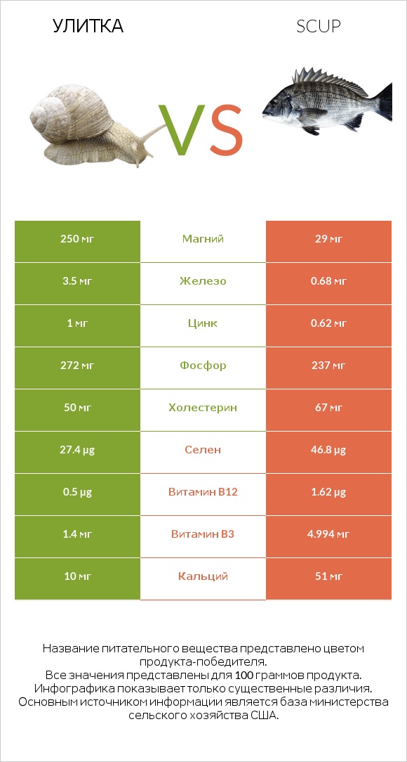 Улитка vs Scup infographic