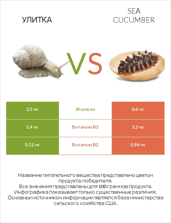 Улитка vs Sea cucumber infographic