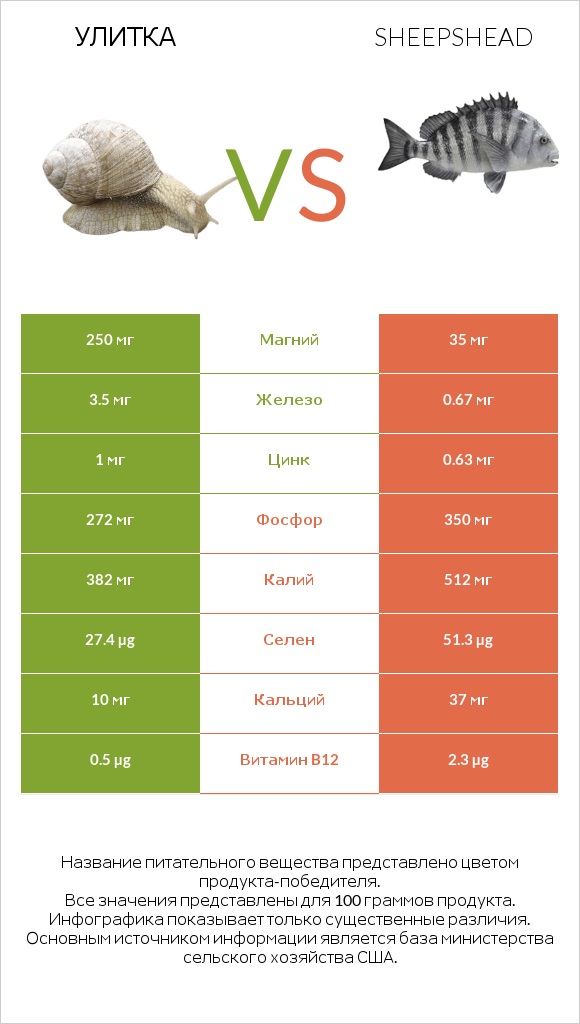 Улитка vs Sheepshead infographic