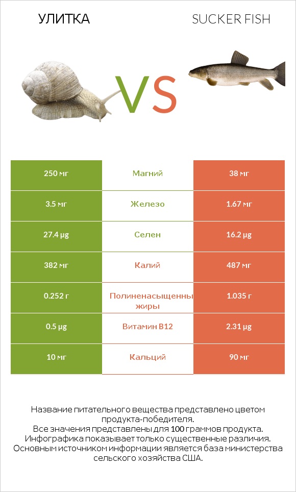 Улитка vs Sucker fish infographic