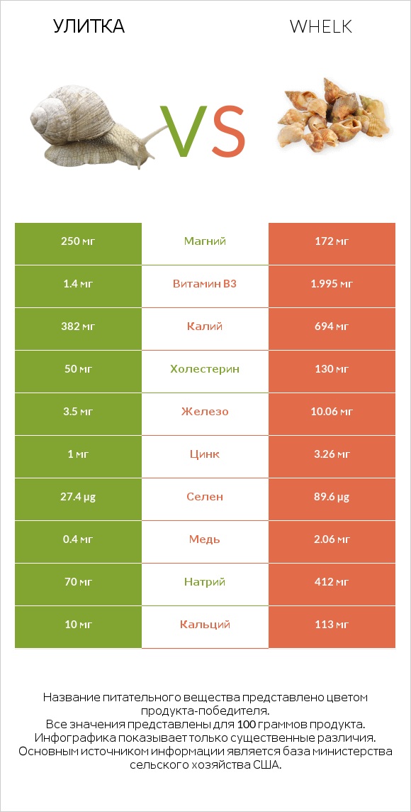 Улитка vs Whelk infographic