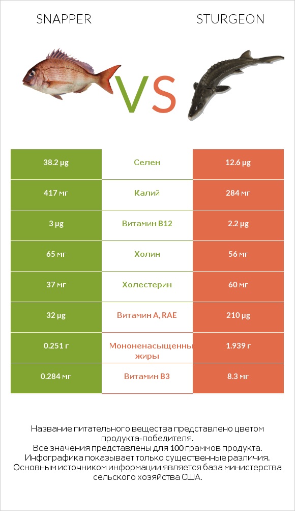 Snapper vs Sturgeon infographic