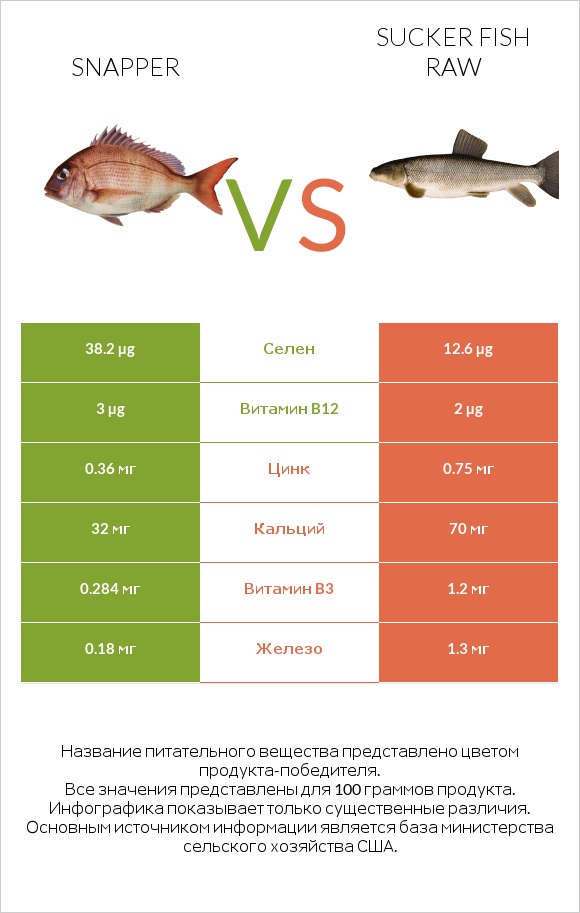 Snapper vs Sucker fish raw infographic