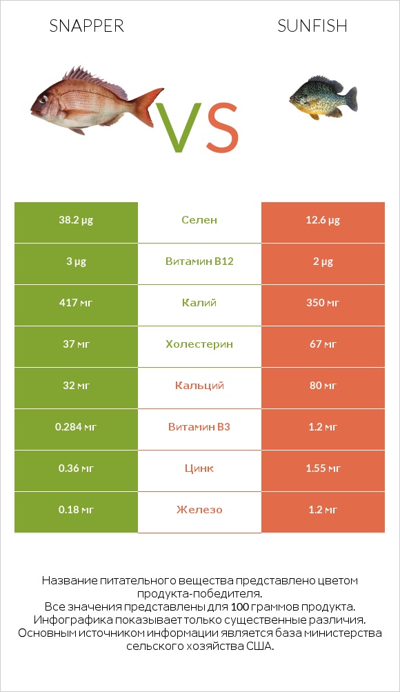 Snapper vs Sunfish infographic