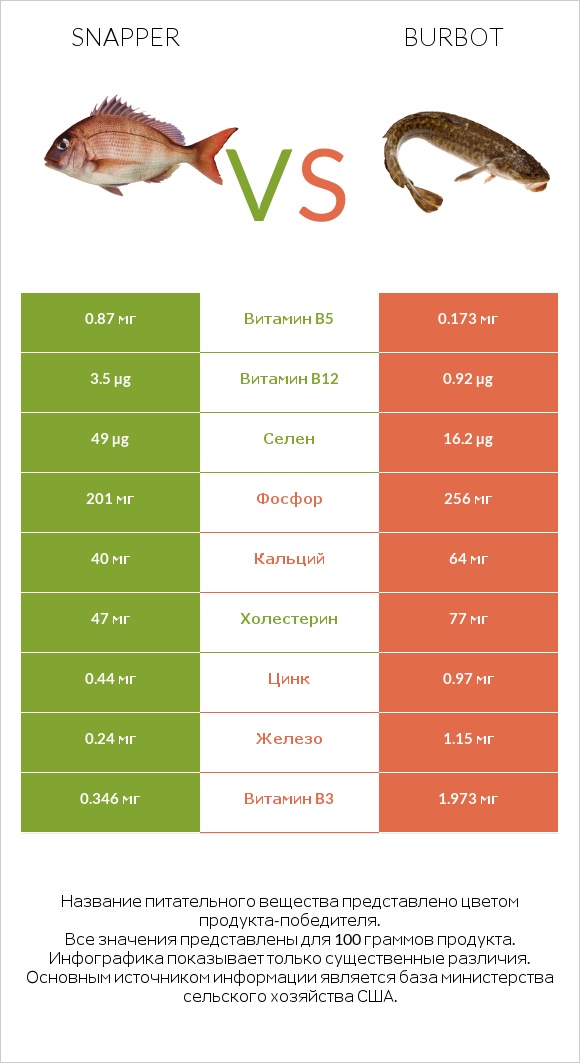 Snapper vs Burbot infographic