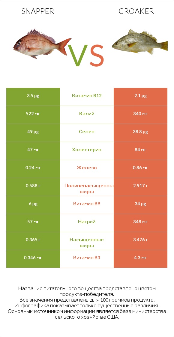 Snapper vs Croaker infographic