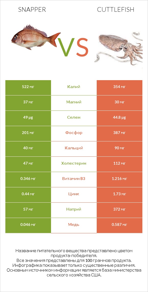 Snapper vs Cuttlefish infographic