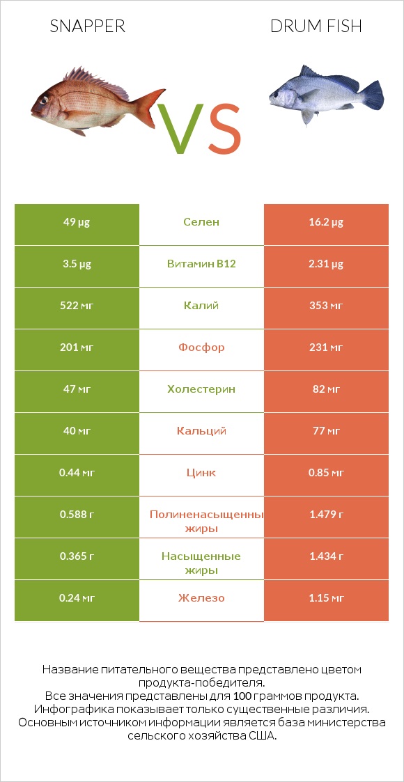 Snapper vs Drum fish infographic