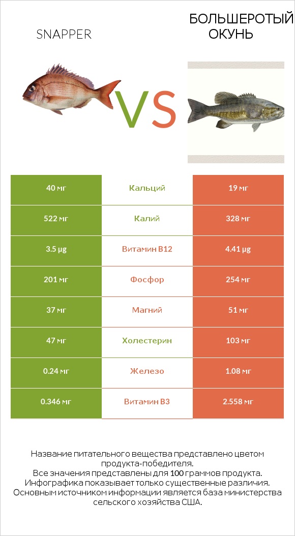 Snapper vs Большеротый окунь infographic