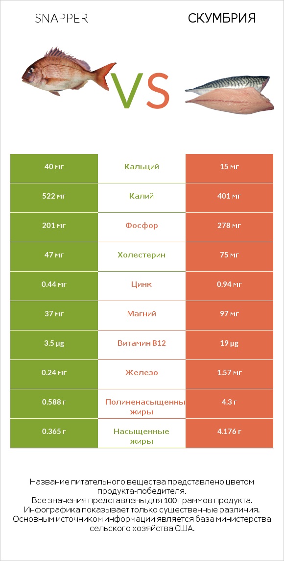 Snapper vs Скумбрия infographic