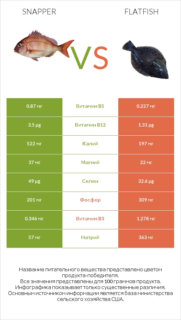 Snapper vs Flatfish infographic