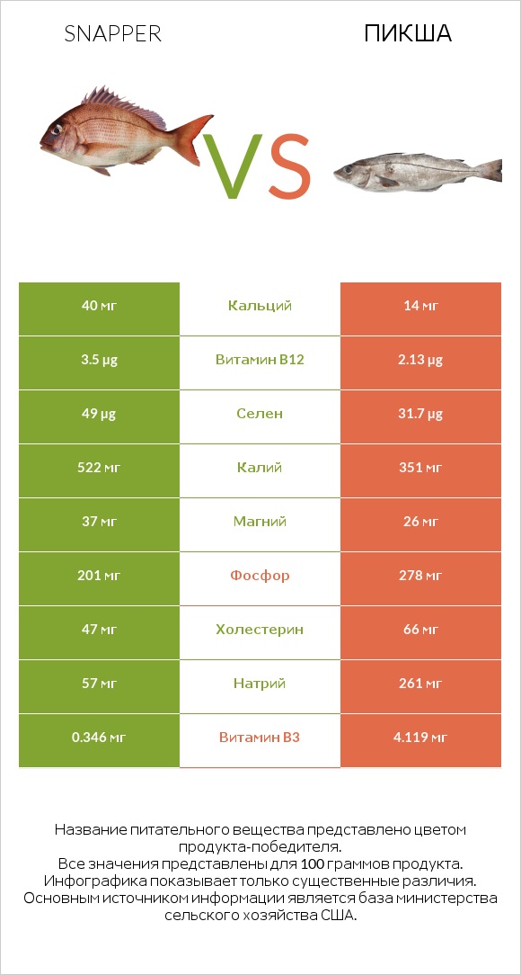 Snapper vs Пикша infographic