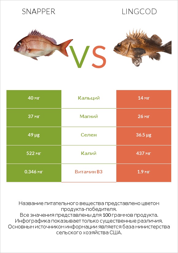 Snapper vs Lingcod infographic