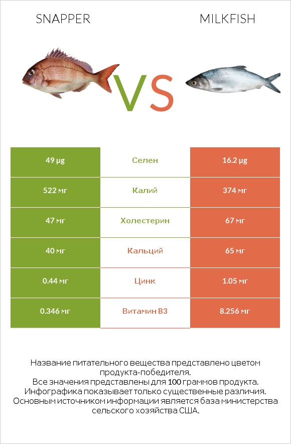 Snapper vs Milkfish infographic