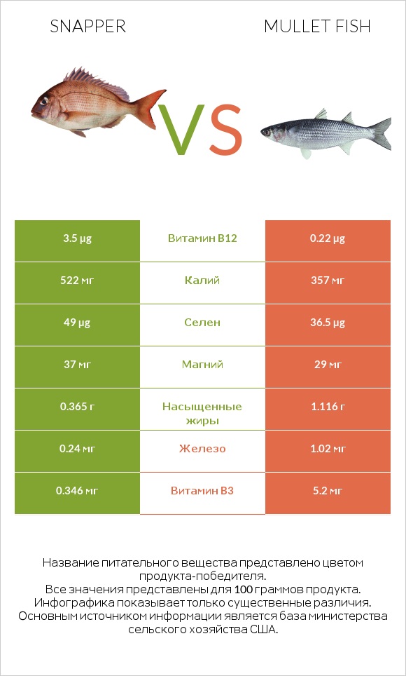 Snapper vs Mullet fish infographic