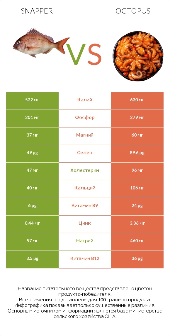 Snapper vs Octopus infographic