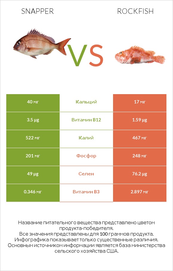 Snapper vs Rockfish infographic