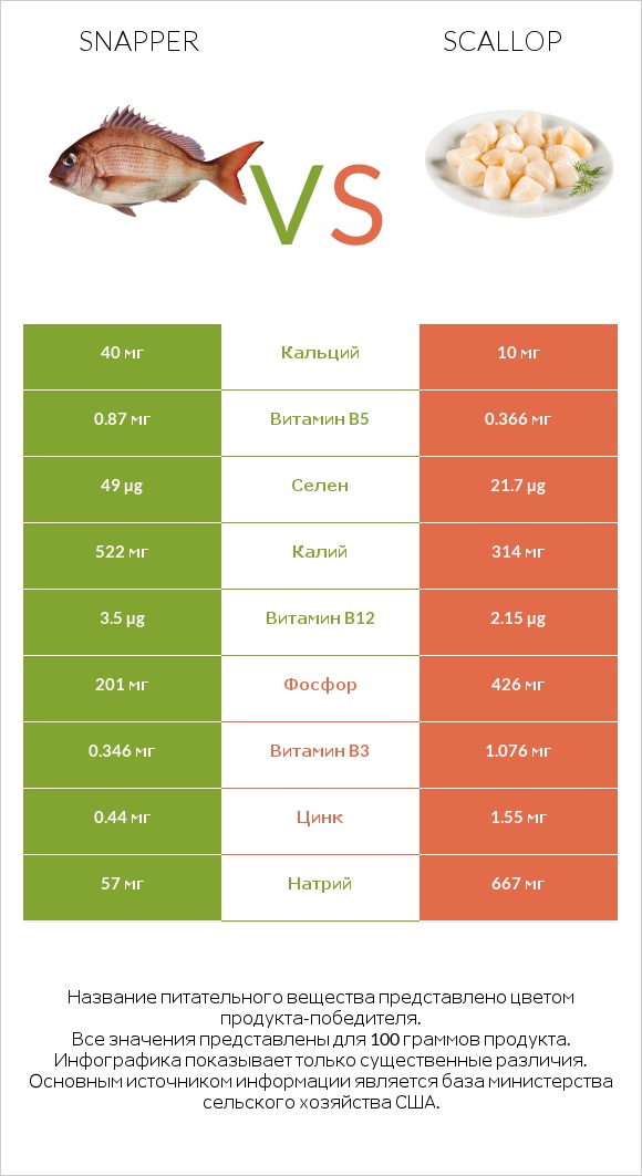 Snapper vs Scallop infographic