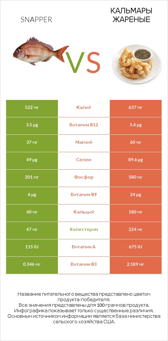 Snapper vs Кальмары жареные infographic