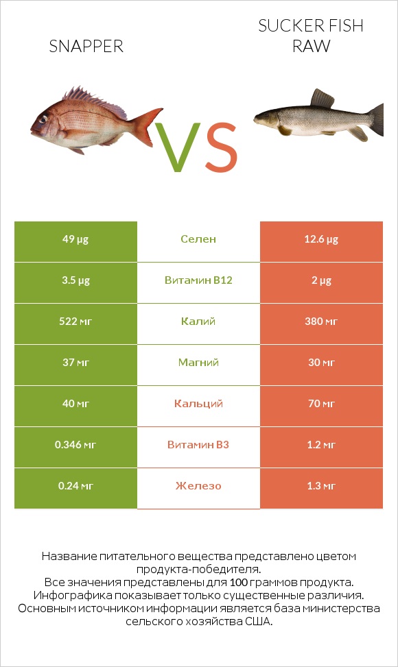 Snapper vs Sucker fish raw infographic