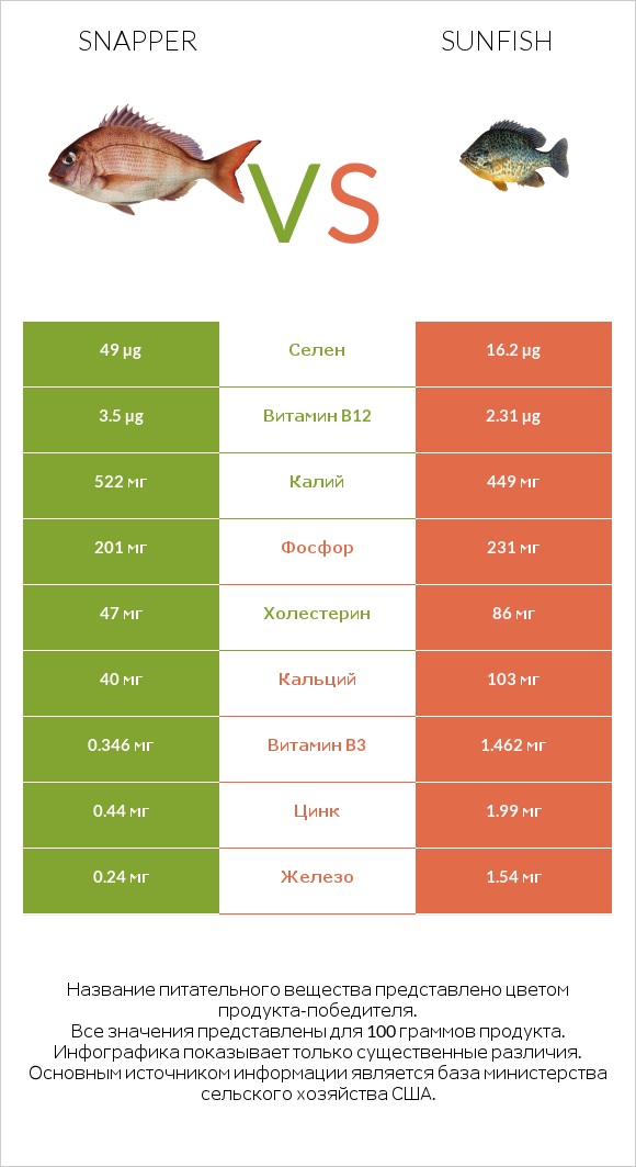 Snapper vs Sunfish infographic