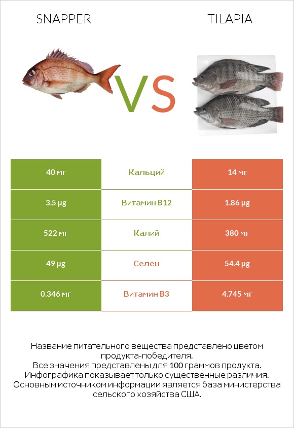 Snapper vs Tilapia infographic