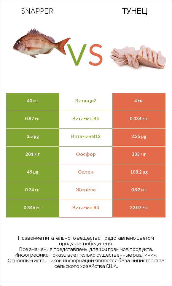 Snapper vs Тунец infographic