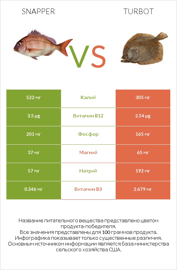 Snapper vs Turbot infographic