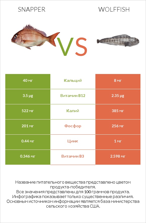 Snapper vs Wolffish infographic