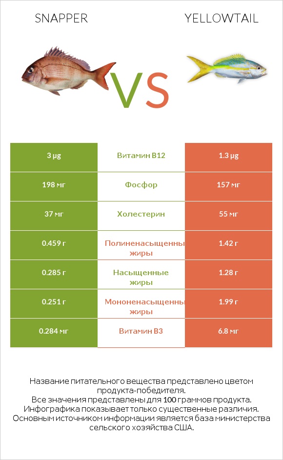 Snapper vs Yellowtail infographic