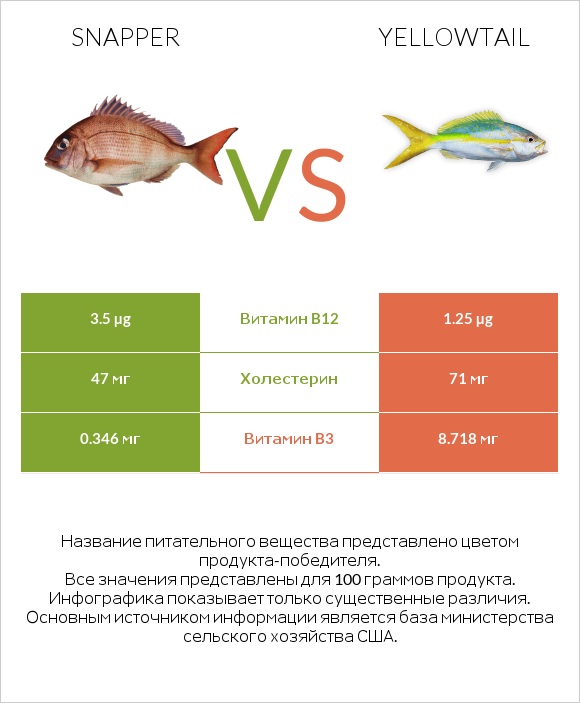 Snapper vs Yellowtail infographic