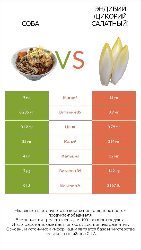 Соба vs Эндивий (Цикорий салатный)  infographic