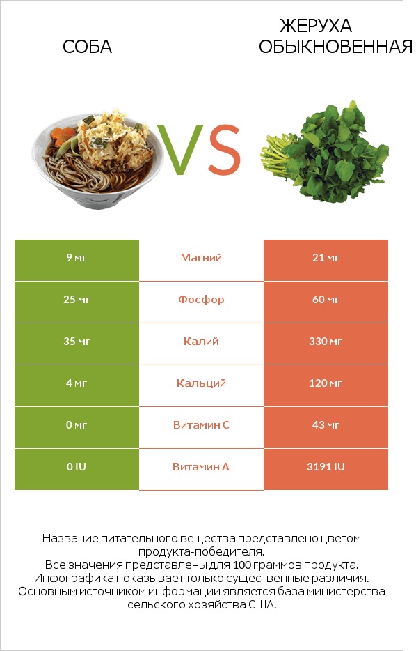 Соба vs Жеруха обыкновенная infographic