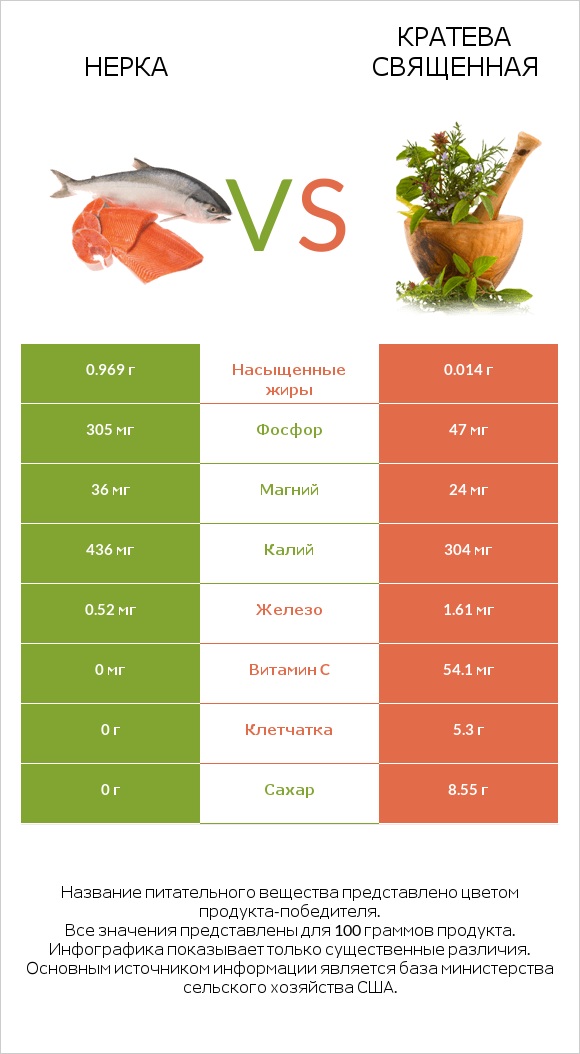 Нерка vs Кратева священная infographic