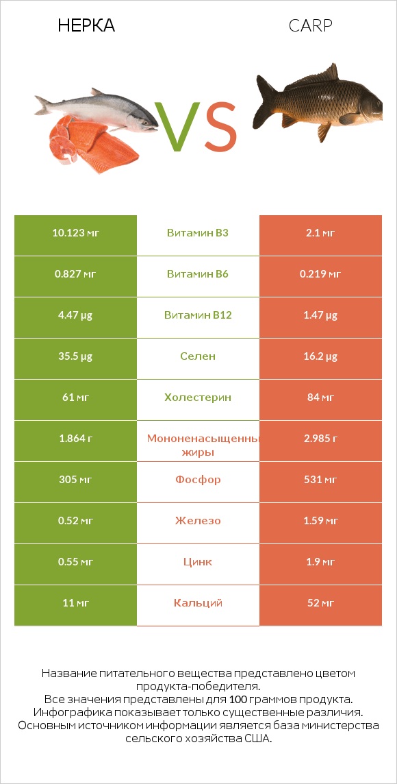 Нерка vs Carp infographic