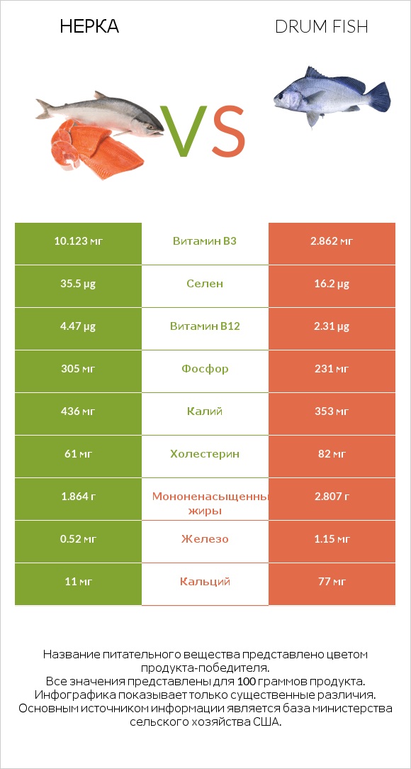 Нерка vs Drum fish infographic