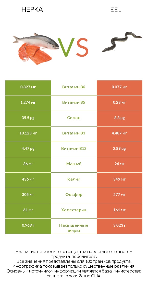 Нерка vs Eel infographic