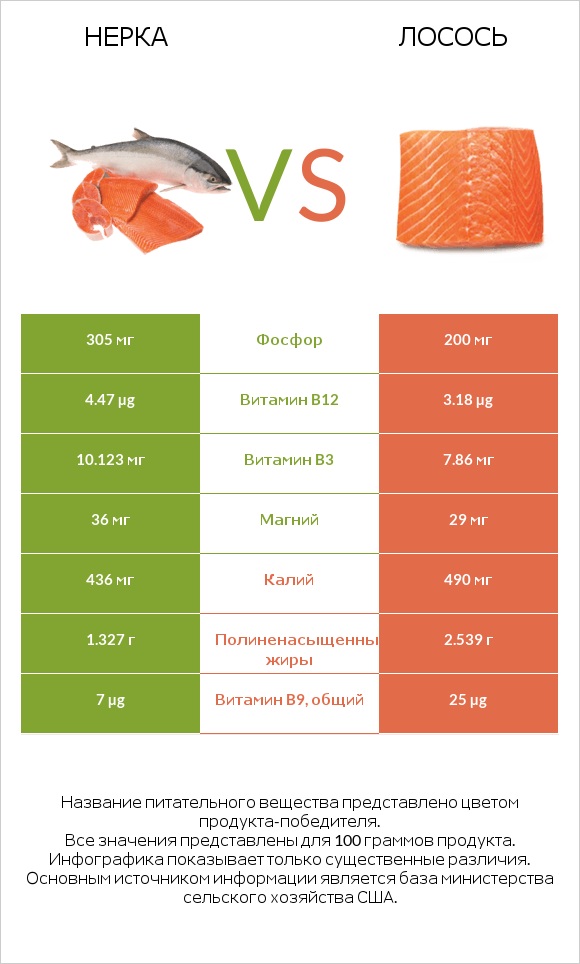 Нерка vs Лосось infographic