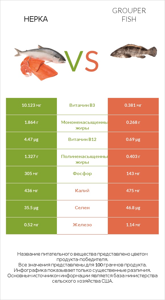 Нерка vs Grouper fish infographic