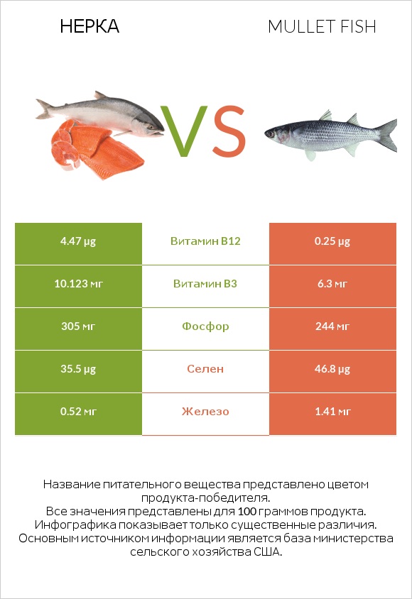 Нерка vs Mullet fish infographic