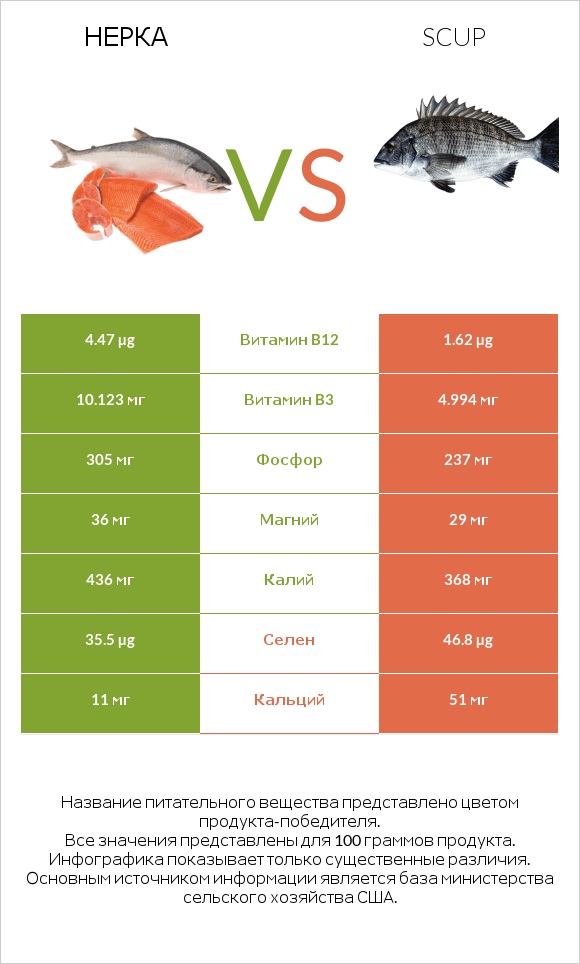 Нерка vs Scup infographic