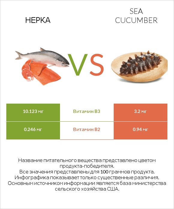 Нерка vs Sea cucumber infographic