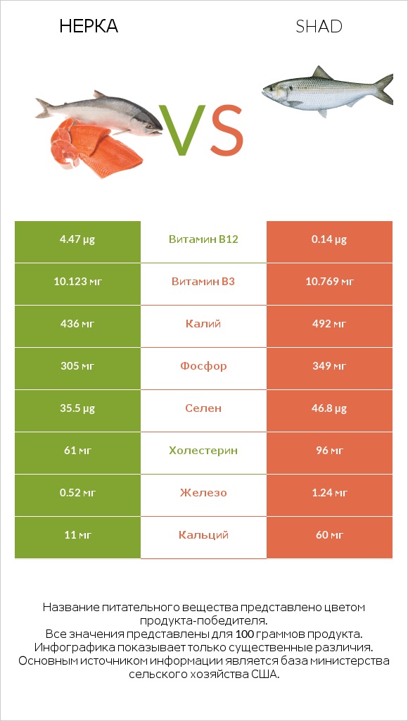 Нерка vs Shad infographic