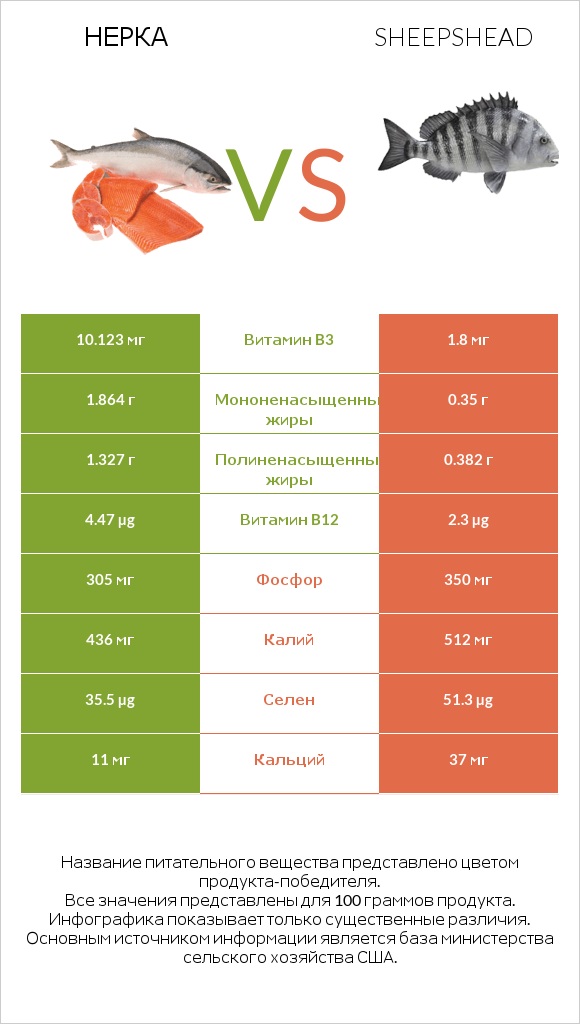 Нерка vs Sheepshead infographic