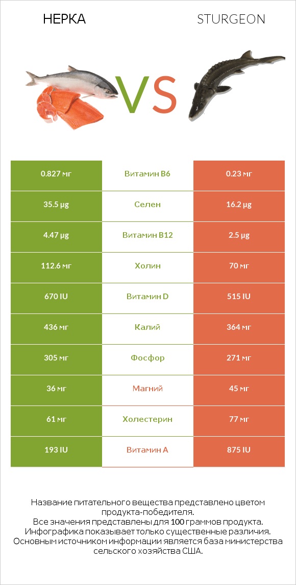 Нерка vs Sturgeon infographic