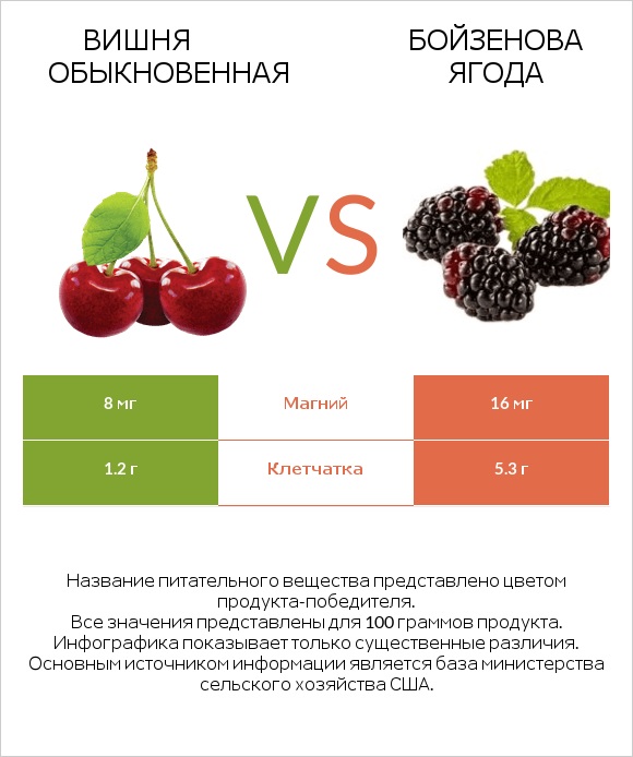 Вишня обыкновенная vs Бойзенова ягода infographic