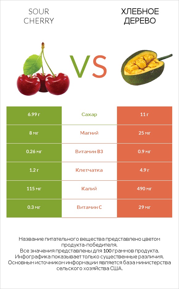 Sour cherry vs Хлебное дерево infographic