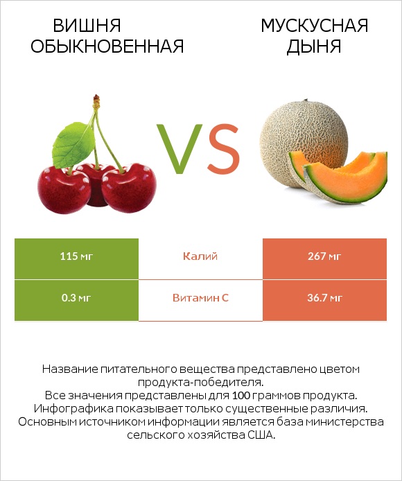 Вишня обыкновенная vs Мускусная дыня infographic