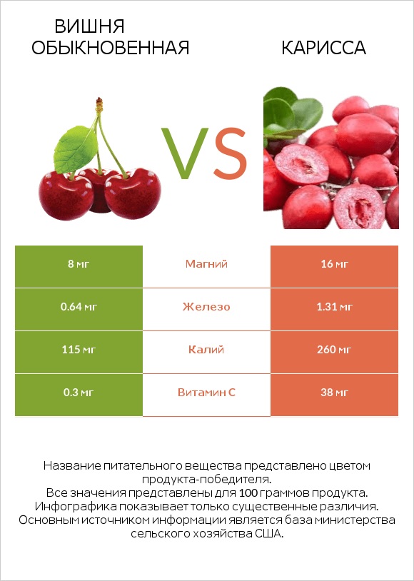 Вишня обыкновенная vs Карисса infographic